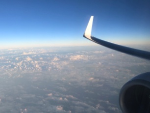 wing view